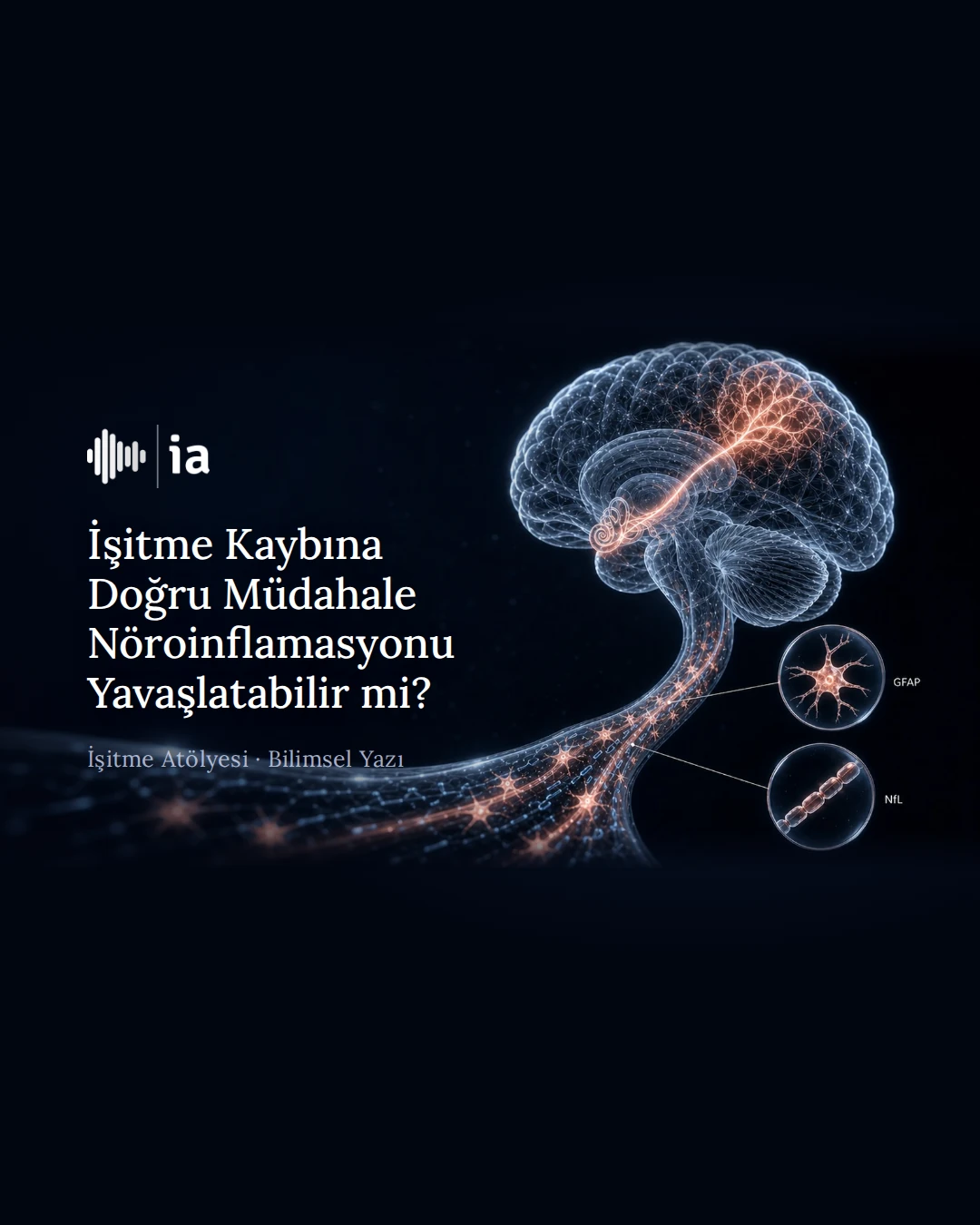 İşitme Kaybına Doğru Müdahale Nöroinflamasyonu Yavaşlatabilir mi?
